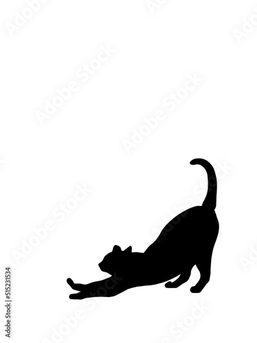 Hand drawn illustrations portrait of cat shadow isolated on white background.