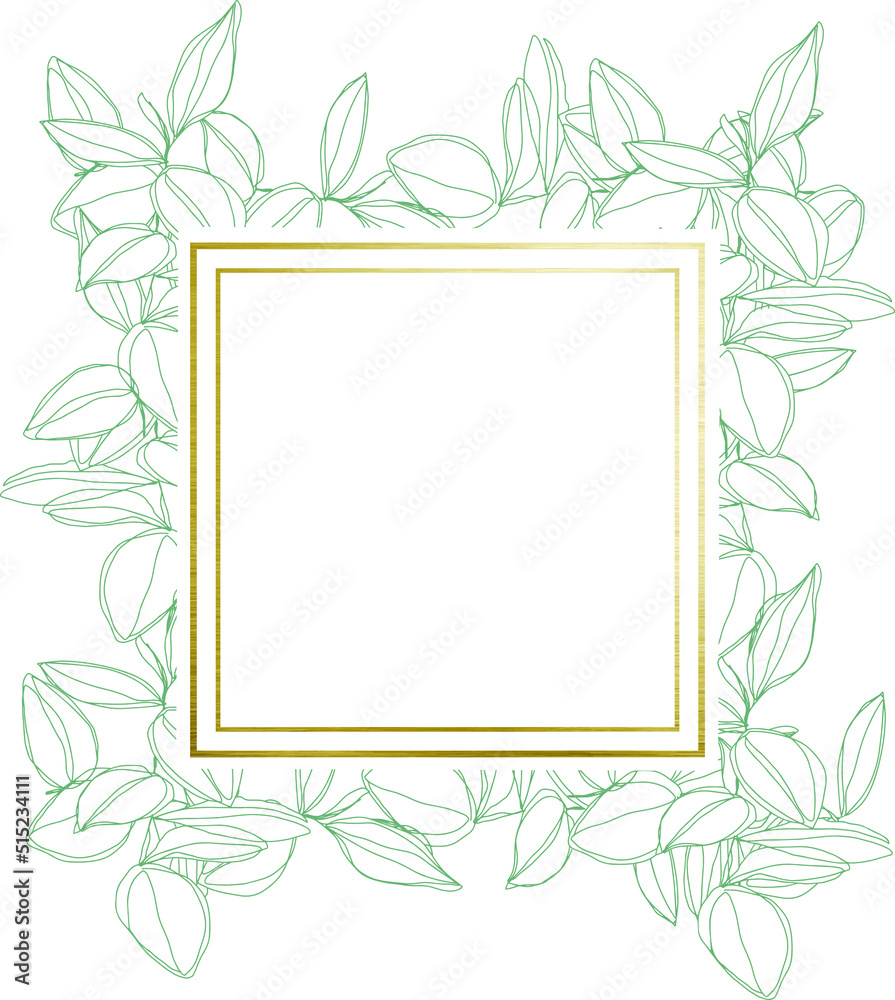 botanical minimalism line art leaves vector frame