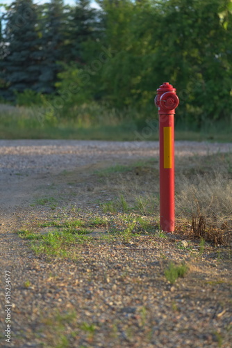 A metal hydrant standing on a rural road