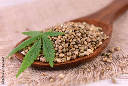 Hemp seeds in a wooden spoon. Cannabis.