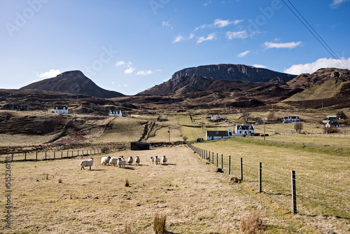 Abitazioni ed allevamenti all'isola di Skye photo