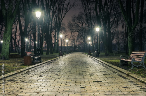 Fototapeta Naklejka Na Ścianę i Meble -  The alley of a night autumn park in a light fog. Footpath in a f