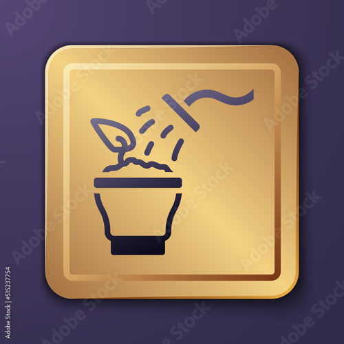 Purple Spraying a house plant with a spray gun icon isolated on purple background. Moistening of foliage. Care for home flowers. Gold square button. Vector