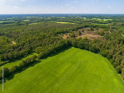 Aerial view of nature reserve Vasser Heide with forest and heather field, Haarle, Twente, Overijssel, Netherlands. photo