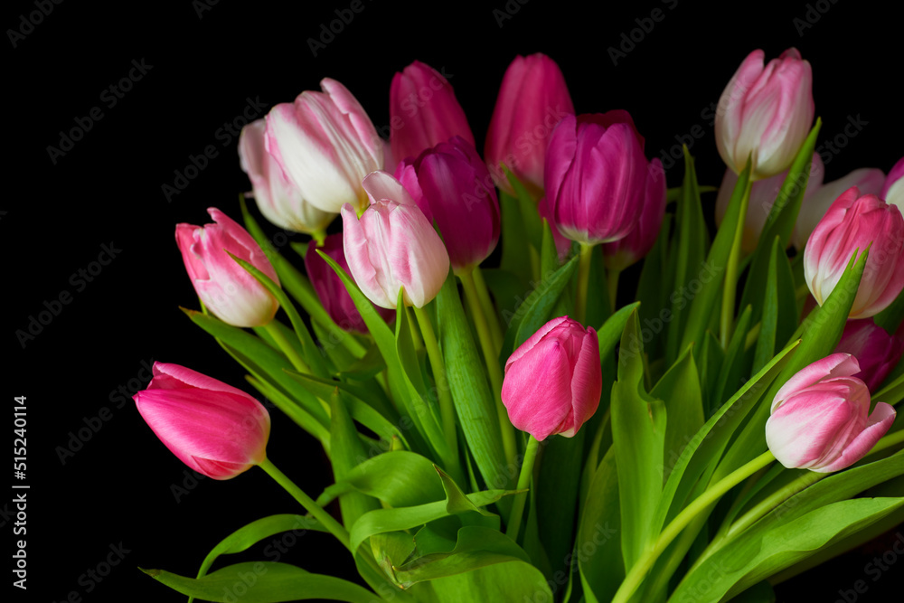 Bouquet of fresh tulips flowers on a table in empty house. Fresh summer pink flowers symbolising hope, love and growth. Bright flowers as a surprise gift or apology gesture against black copyspace