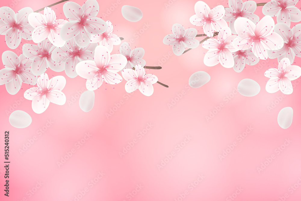Cherry Blossom Background - 14 Cherry Blossom Background - 14