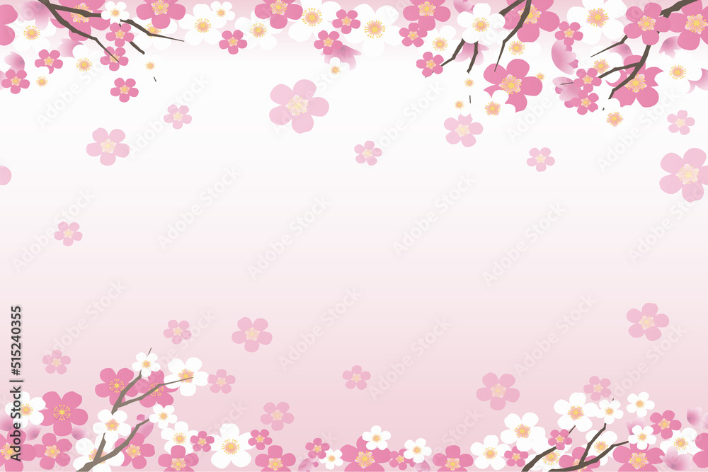 Cherry Blossom Background - 21