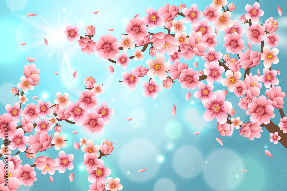 Cherry Blossom Background - 23 Cherry Blossom Background - 23