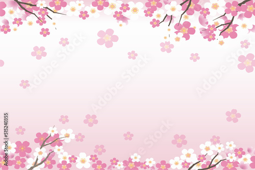Cherry Blossom Background - 21