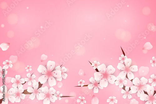 Cherry Blossom Background - 22