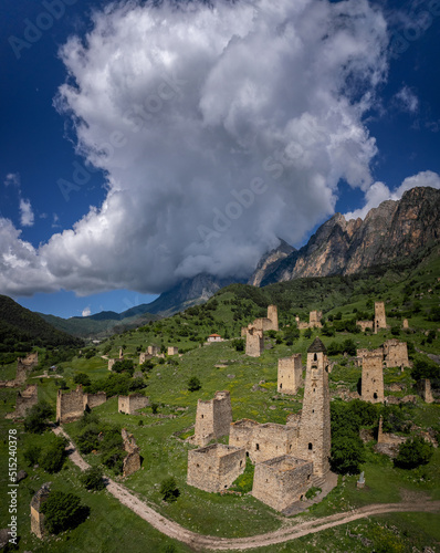 Ancient towers of the Dzheyrakh gorge in summer