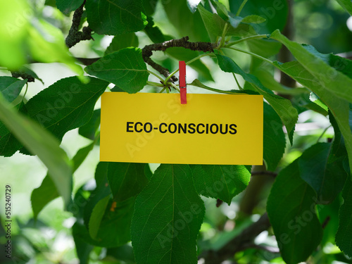 A paper note with the word Eco-Conscious on it attached to a tree with a clothes pin © Stepan Popov