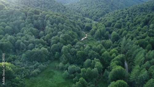 Forest in the Navarrese Pyrenees. Roncesvalles photo