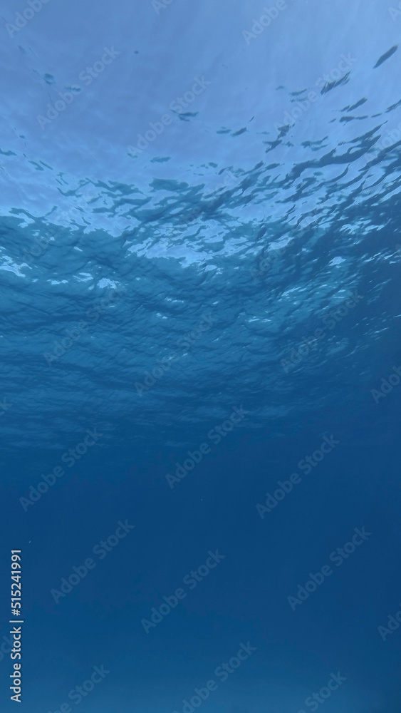 Surface of the sea. Natural background with sun glints on surface of the water. Underwater view. Red sea, Egypt Surface of the sea. Natural background with sun glints on surface of the water. Underwater view. Red sea, Egypt