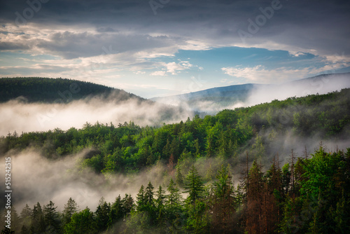Morning mists over the Karkonosze Mountains. Poland