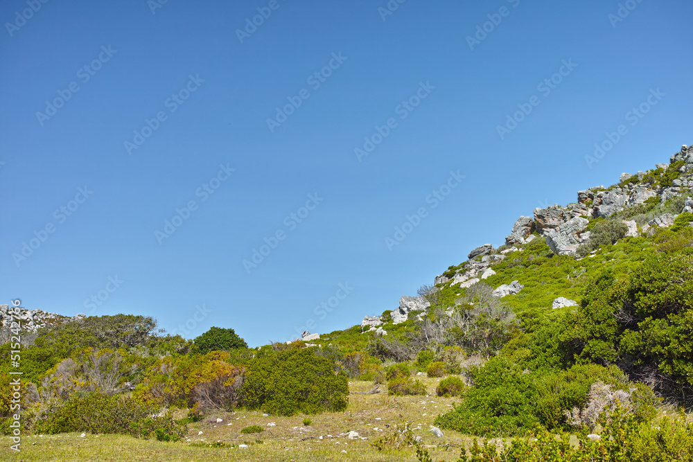 Landscape view of nature in Cape Town, South Africa during summer holiday and vacation. Scenic hills and scenery of fresh green flora growing in remote area. Exploring nature and the wild