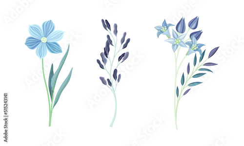Set of wild blue spring and summer flowers watercolor vector illustration