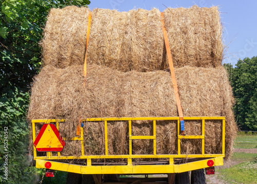 Fresh hay for horses on a cart. Haymaking