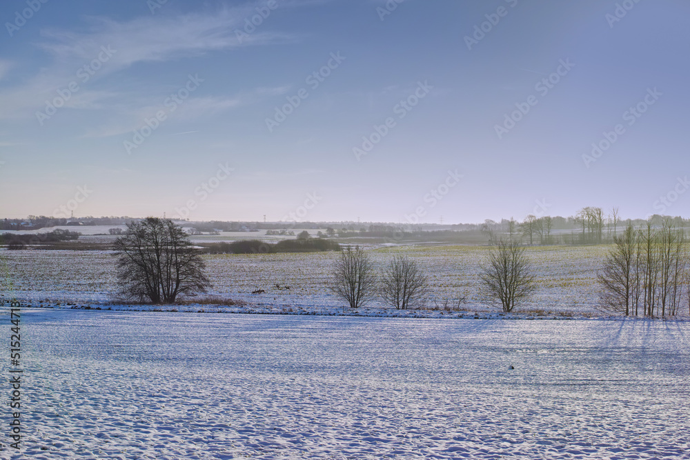 Landscape of a foggy remote land in nature during winter. Bare dry trees on a vast field and meadow covered in icy snow and copyspace background. Exploring mother nature on recreation hike