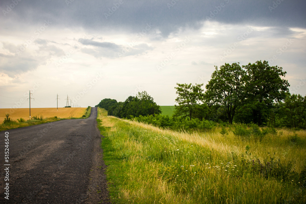 Road with a dark rainy sky.