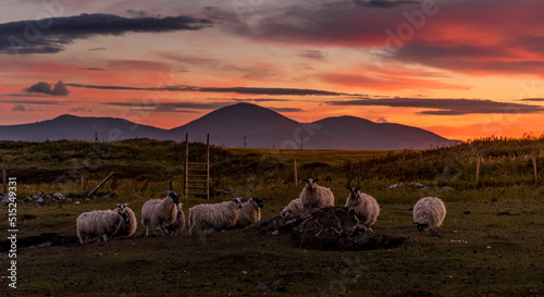 Mourne Mountains sunset silhouette, Saint Johns Point, Lecale, County Down, Northern Ireland photo