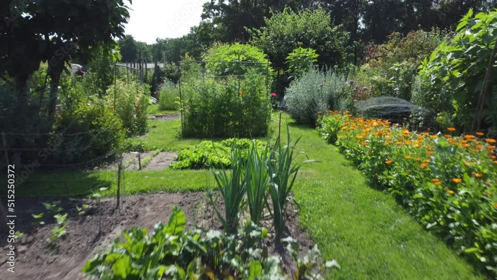 Kitchen garden, vegetable garden Aerial Kitchen garden, vegetable garden Aerial