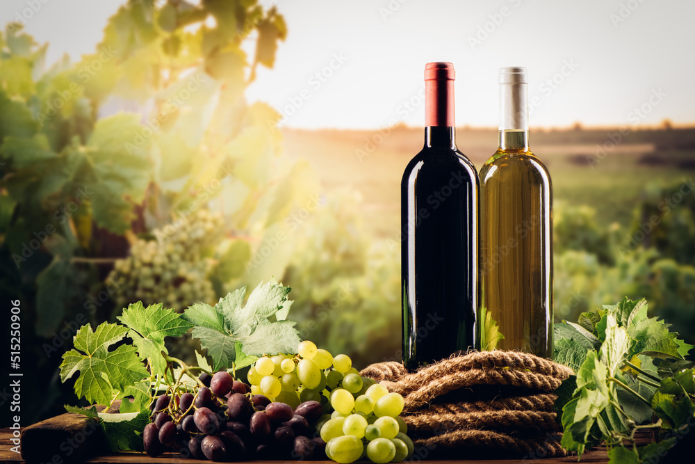 Fototapeta premium Two bottles of wines with vineyard on the background