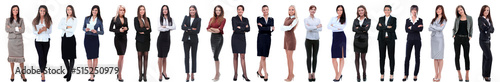 group of successful young businesswoman standing in a row