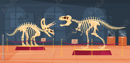 The skeleton of a herbivorous dinosaur on a pedestal in a museum. The skeleton of foot-and-mouth predators and herbivores. Archaeological excavations of dinosaur fossils. Study of ancient animals