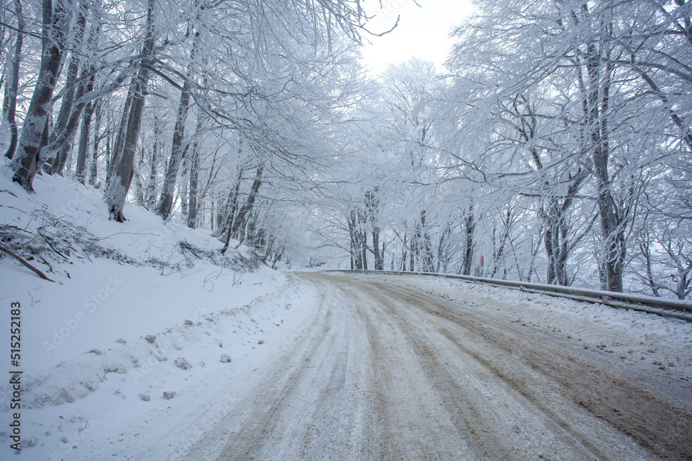 Road in Sabaduri forest with covered snow. Winter time. Landscape