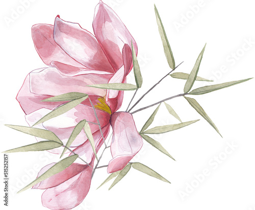 Asian pink magnolia flower blossom bamboo leaves watercolor 
