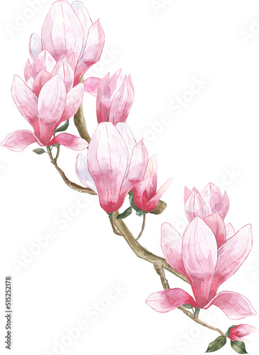 pink magnolia flower blossom bouquet composition leaves bamboo watercolor twig branch wreath
