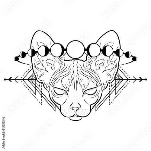 Mystical magic cat with sacred geometry and lunar phase. Hand drawn vector sphinx cat isolated on white background for prints, posters and fantasy or esoteric design projects. Occult illustration.