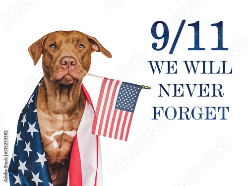 Patriot Day. We will never forget. Adorable puppy and American Flag. Close-up, isolated background. Studio shot, day light