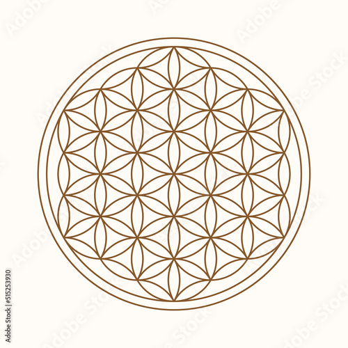 Esoteric Flower Of Life symbol. Vector illustration photo
