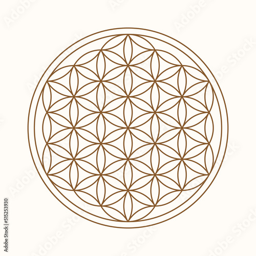 Esoteric Flower Of Life symbol. Vector illustration