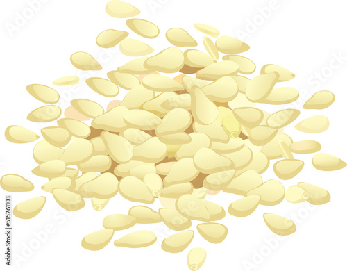 Sesame seeds is a vector illustration in a flat design isolated on a white background.