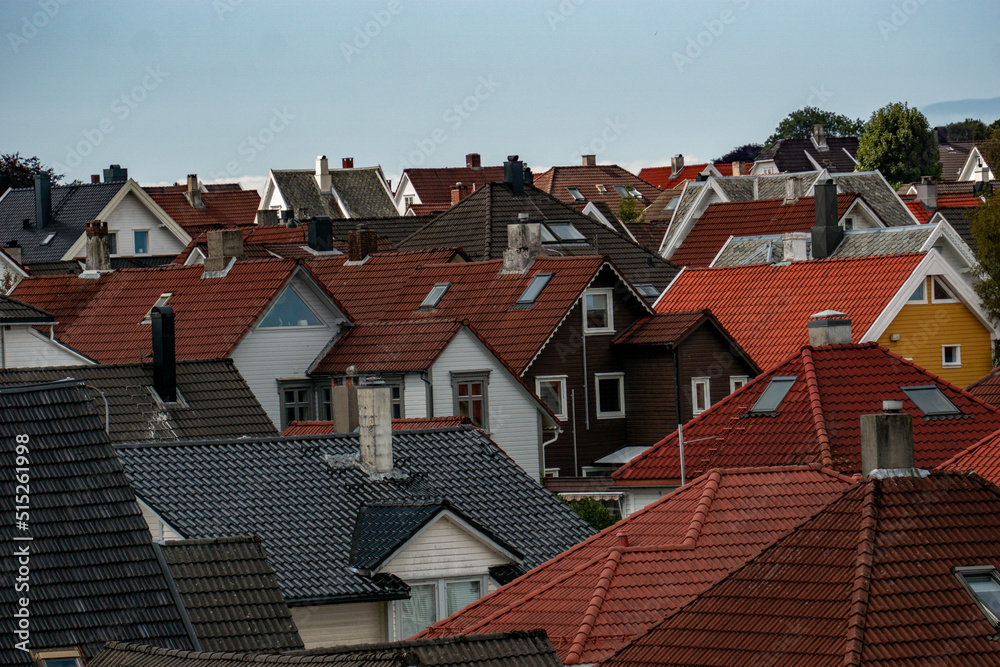 roofs of the town