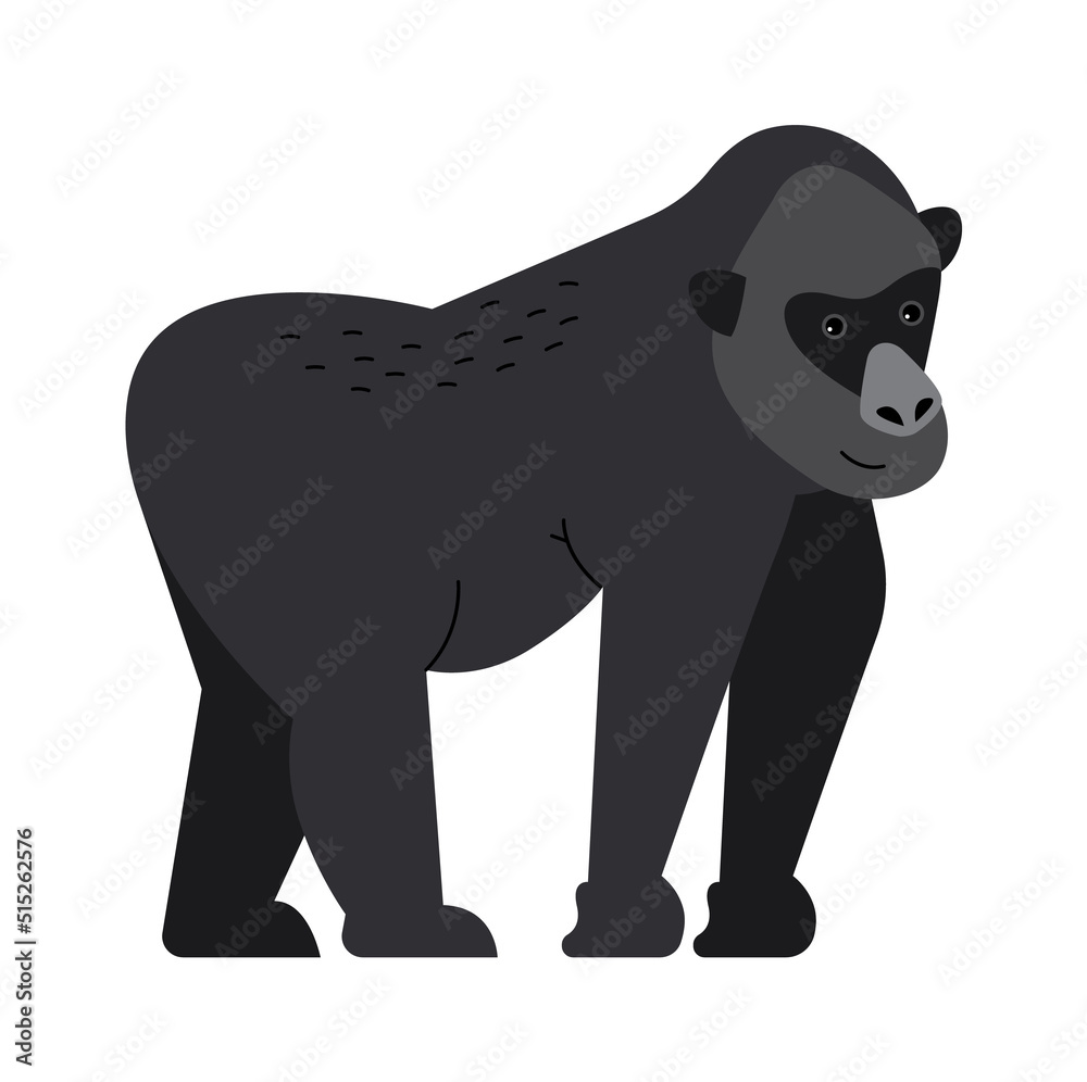 Standing gorilla monkey Exotic Animal. Vector illustration Standing gorilla monkey Exotic Animal. Vector illustration