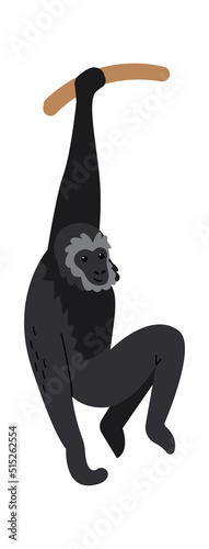 Gibbon monkey Exotic Animal. Vector illustration