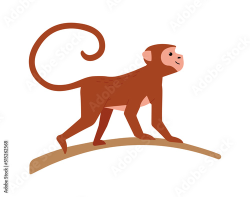Macaques monkey Exotic Animal. Vector illustration