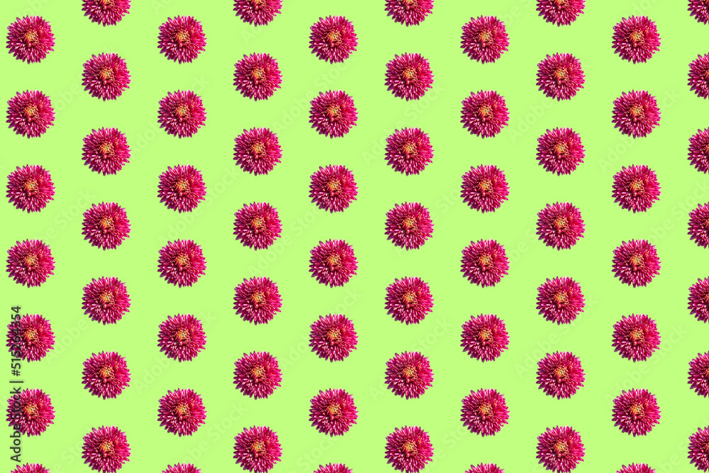 Beautiful chrysanthemums in geometric grid pattern on a light green background Beautiful chrysanthemums in geometric grid pattern on a light green background