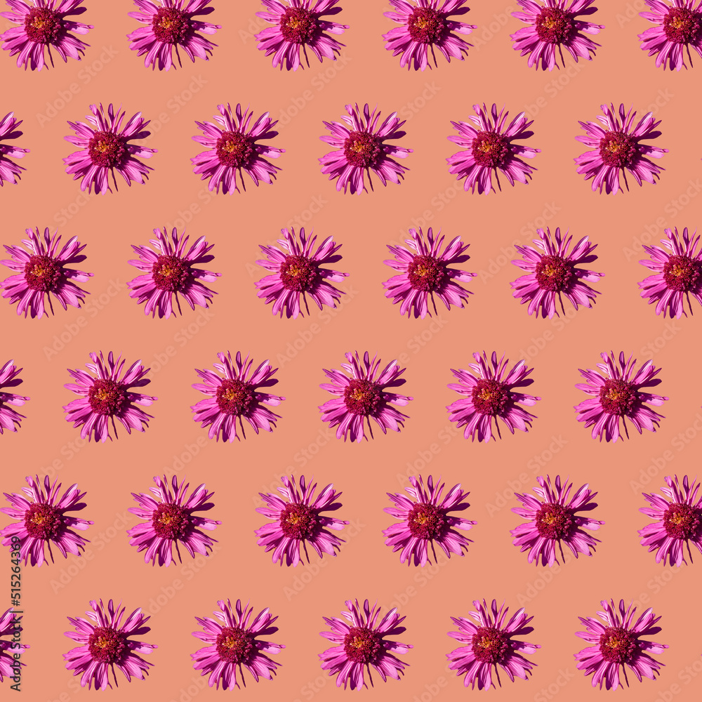 Beautiful chrysanthemums in geometric grid pattern on a calming coral background Beautiful chrysanthemums in geometric grid pattern on a calming coral background