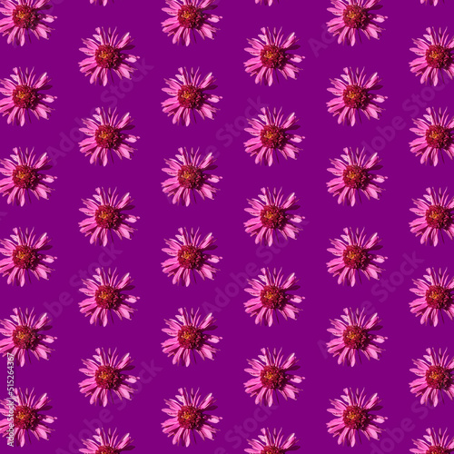 Beautiful chrysanthemums in geometric grid pattern on a velvet violet background © acidmit