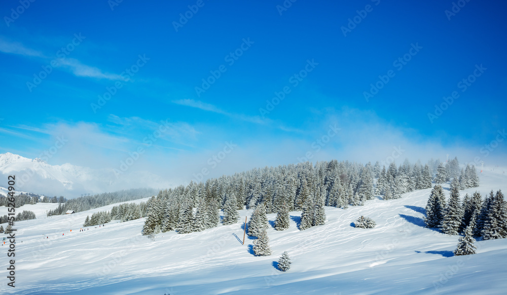 Landscape of fir forest after snowfall with clouds on sunny day