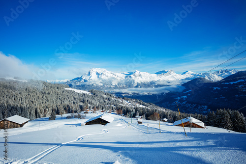 Covered by snow houses after snowfall and off-piste ski tracks © Sergey Novikov