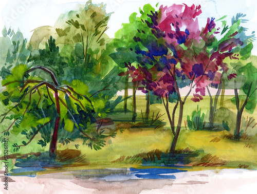 Blooming pink tree. Landscape With Trees. Drawing with watercolor