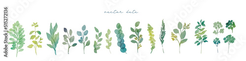 水彩画。水彩タッチの草木挿絵セット。緑の植物の装飾イラスト。リアルタッチの草木ベクターイラスト。Watercolor painting. Set of watercolor touch grass and trees illustrations. Green plants decoration illustration. Realistic touch grass and trees vector