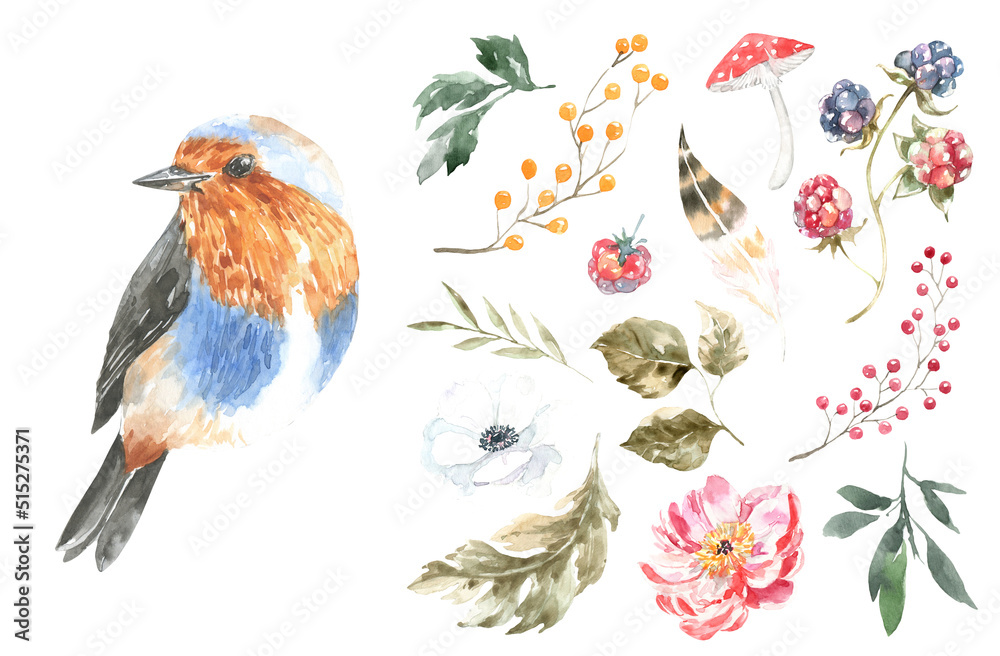 Watercolor woodland animal set of forest isolated cute animal and flora element illustration.Baby bird nursery boho set. Woodland animal face, head,watercolor frame for baby shower, greeting card diy 