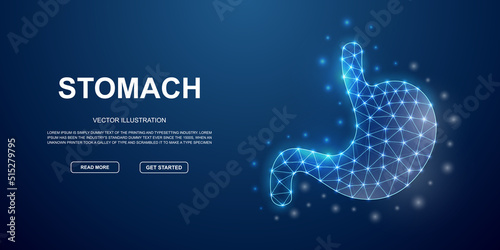 Stomach 3d low poly symbol with connected dots for blue landing page. Digestive system design illustration concept. Polygonal Organ illustration